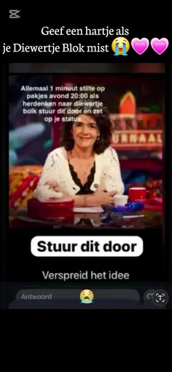 Sinterklaasjournaal