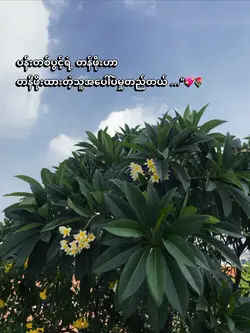 💗🌷