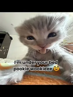 Under your bed…