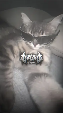 กำลังฮิต 2รูป