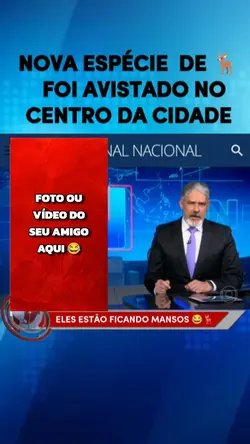 espécie de veado