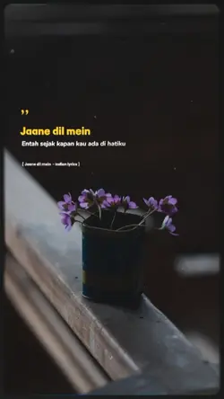 Janne dil mein