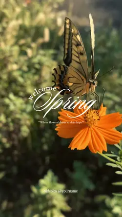 welcome spring 