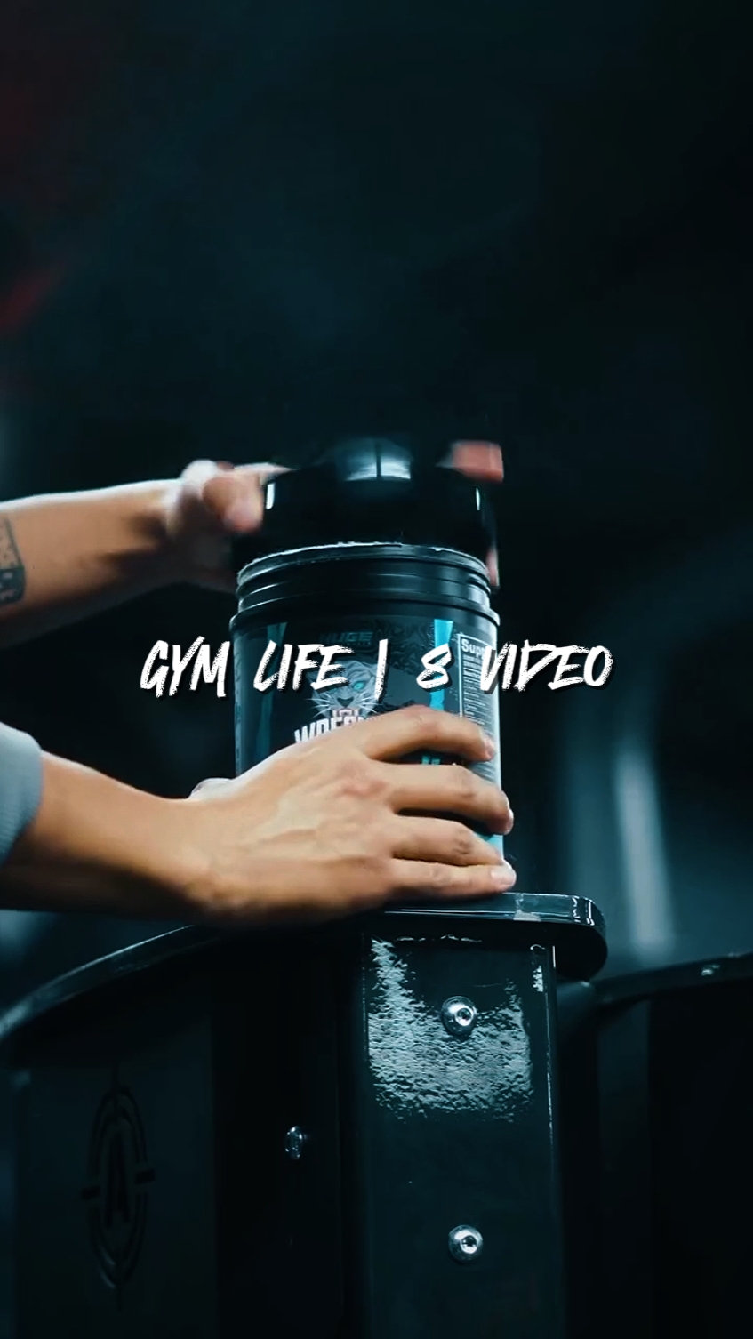Vida en el gimnasio | 8