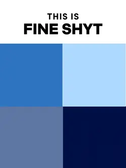fineshyt 