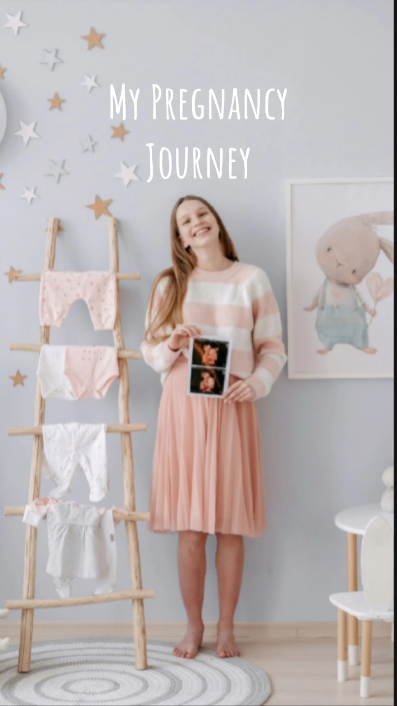 my pregnancy journey