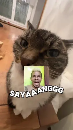 TREND JJ SAYANG 
