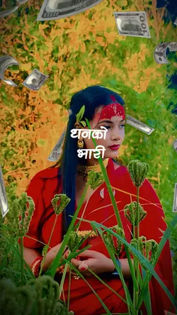 धनको भारी बोकेर