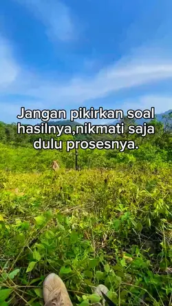Story'