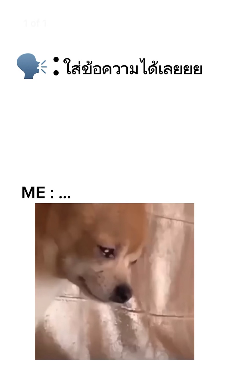 มีมมม🐶