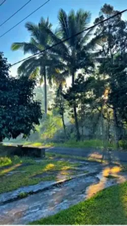 HD FILTER 4K CERAH