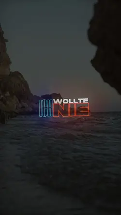Ich wollte nie…