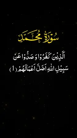 Quran_kareem 