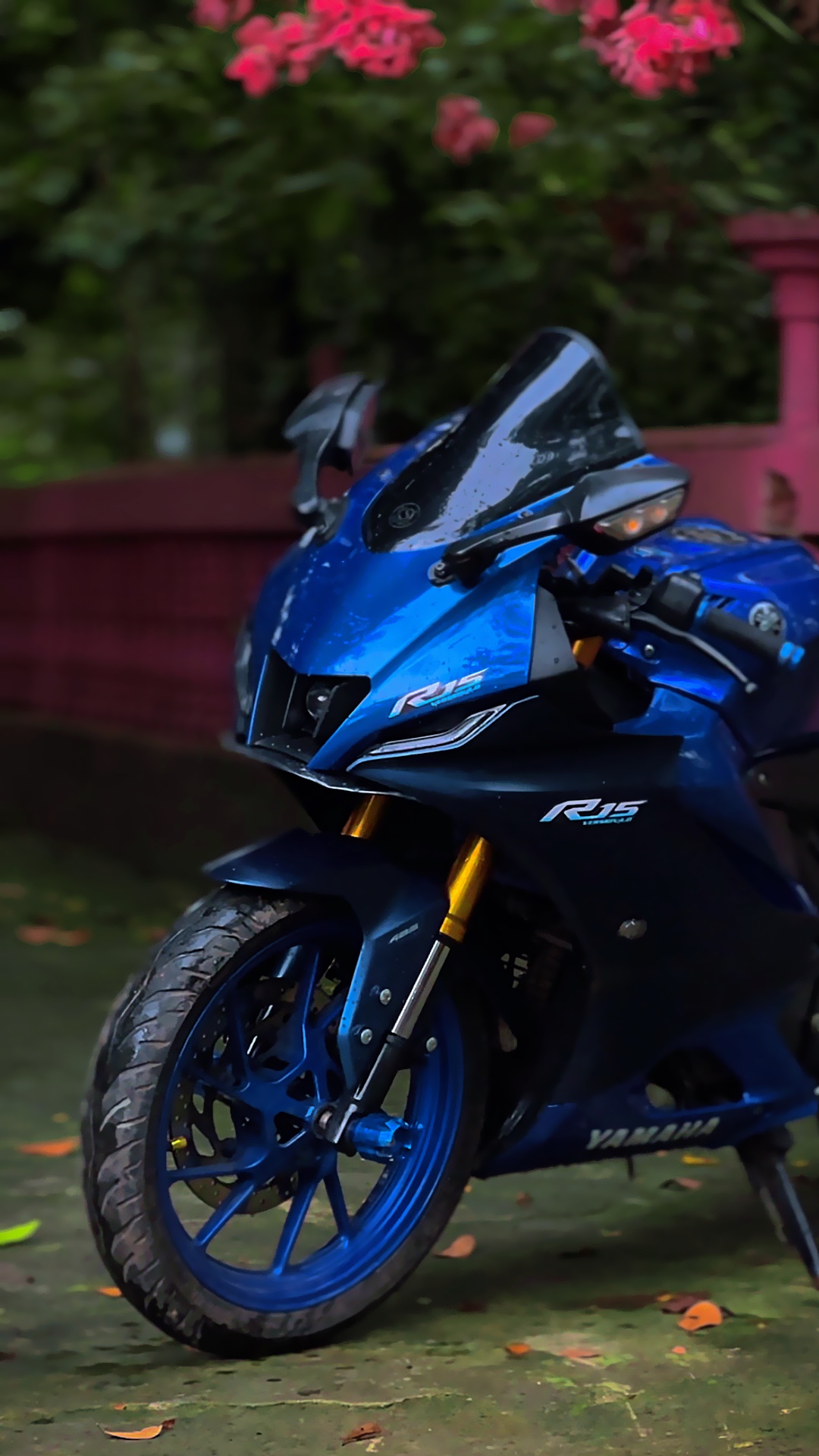 Cover Picture
