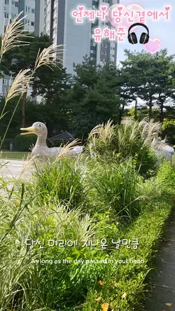 언제나 당신곁에서 