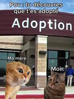 T’es adopté 🤣
