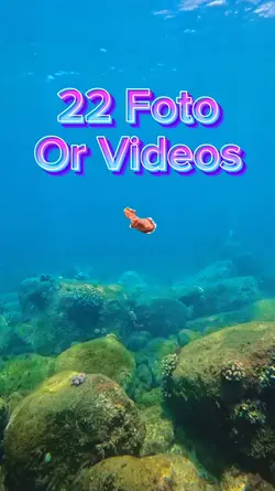 22 Video Slide