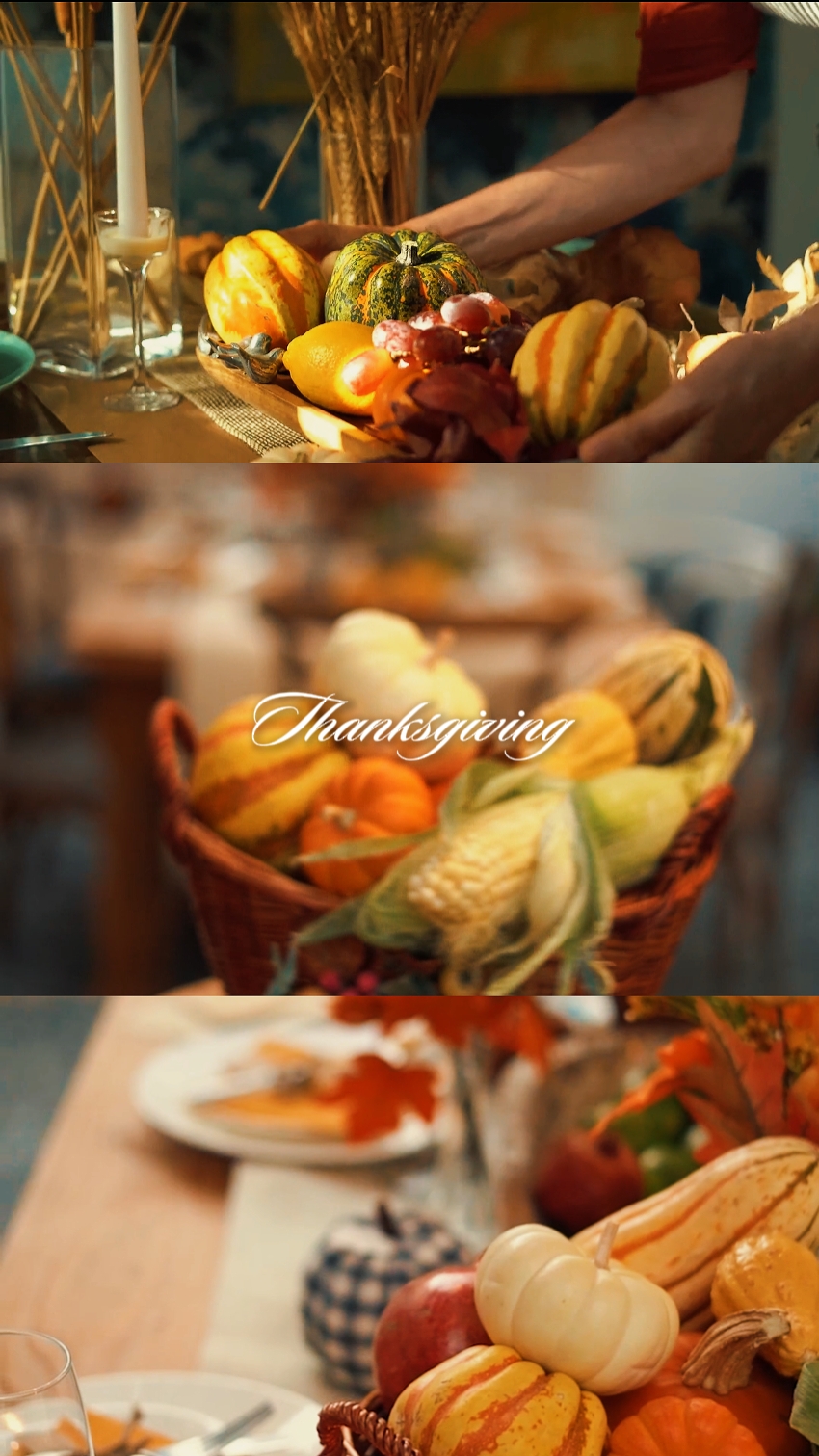 Thanksgiving recap