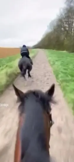 I Wanne run away🏃‍♀️‍➡️