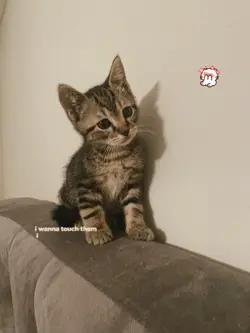 melting