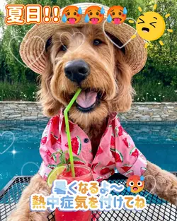 熱中症気を付けてね!