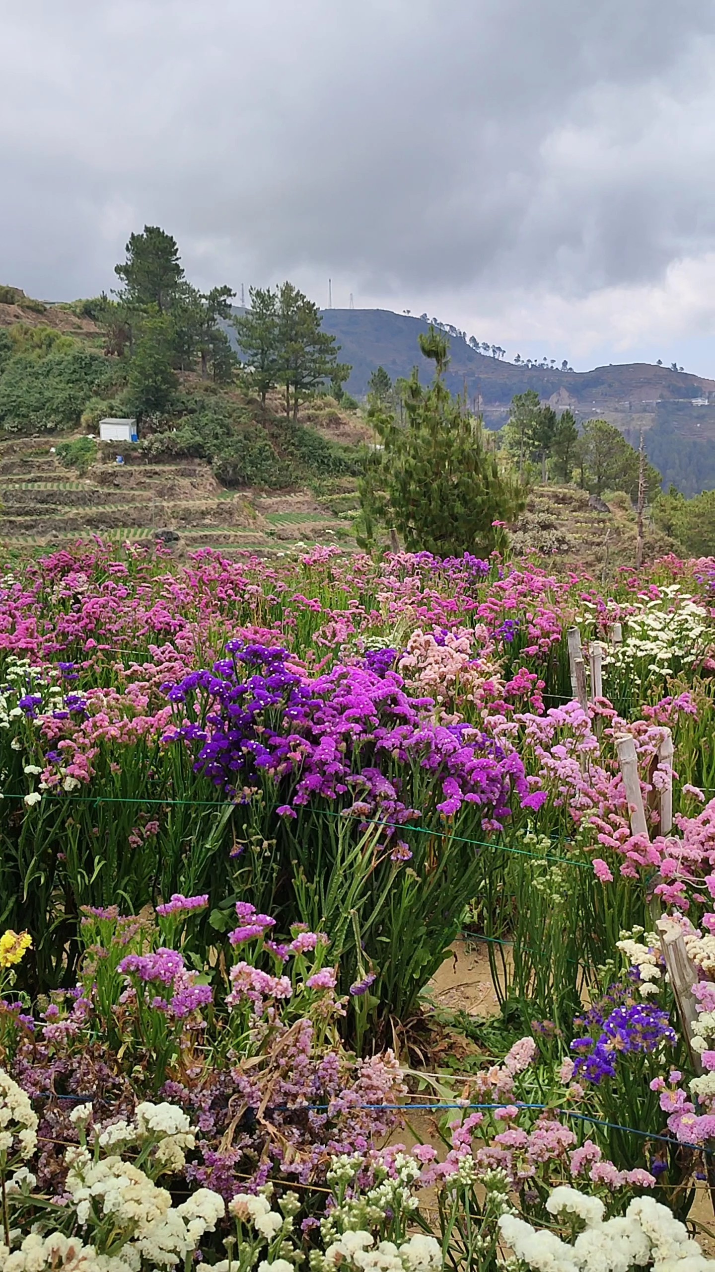 Fast and Slow
