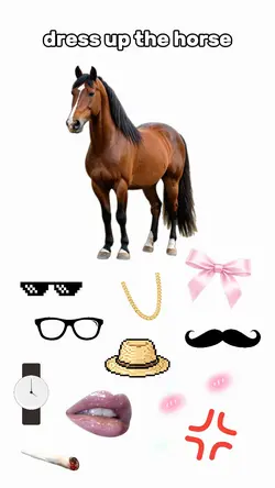 horse dress up