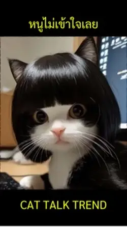 หนูไม่เข้าใจเลย