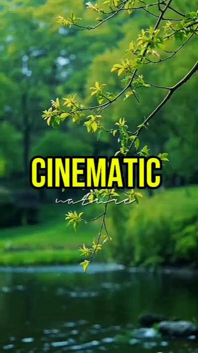 CINEMATIC NATURE 