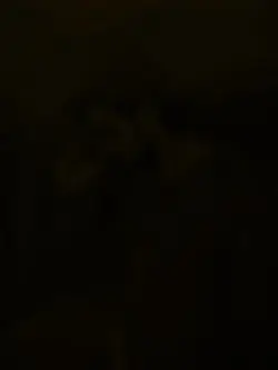 میثم شاعری 
meesam p