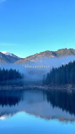 What a weird year