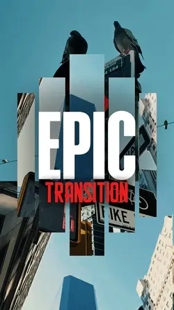 EPIC TRANSITION 