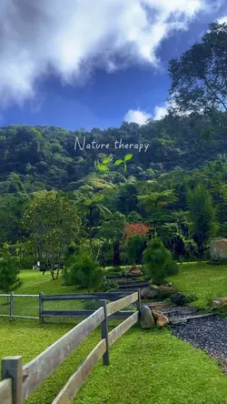 Nature Therapy