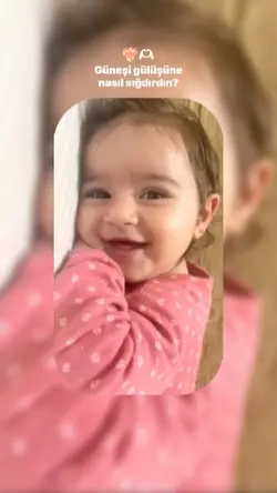yeni Şablon