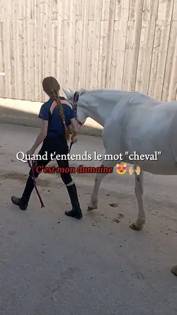 C'est mon domaine 