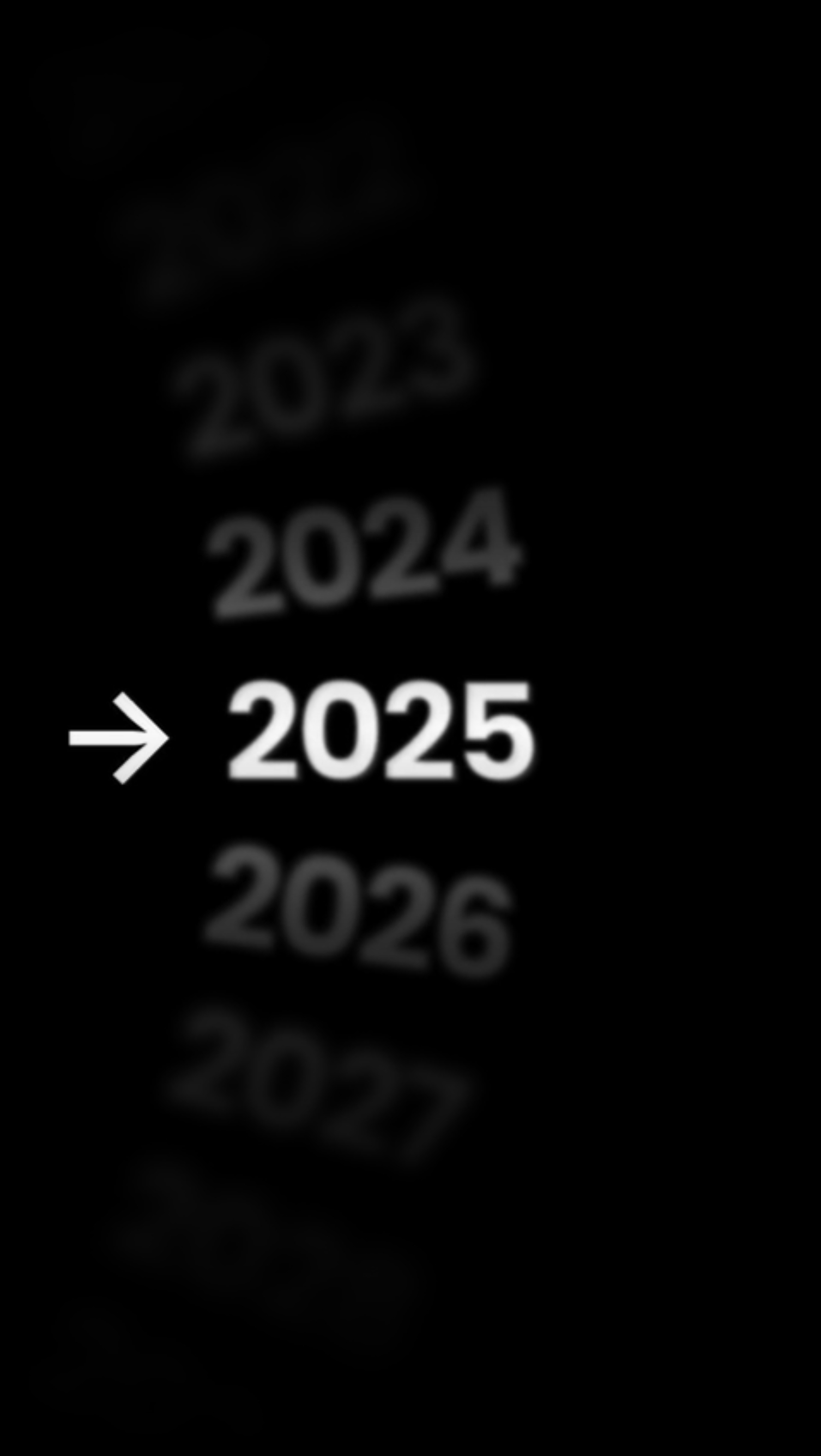 2025 THE END 