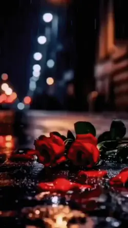 assalamualaikum 