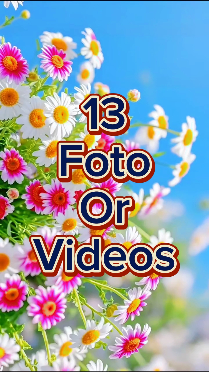 13 Video Slayt