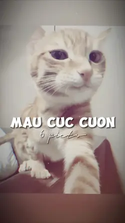 BEAT 6 ẢNH NHẸ NHÀNG