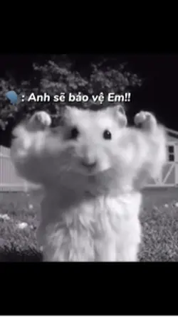 Anh sẽ bảo vệ em🫦