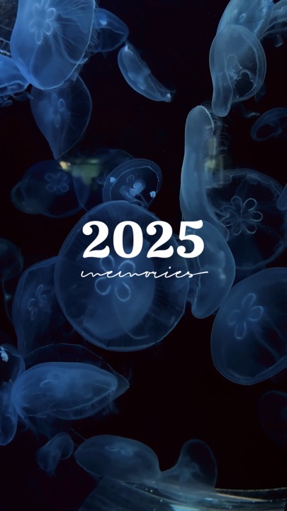 2025 anıları