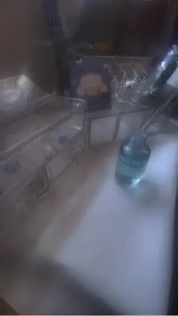 だれが決めたんだろ。