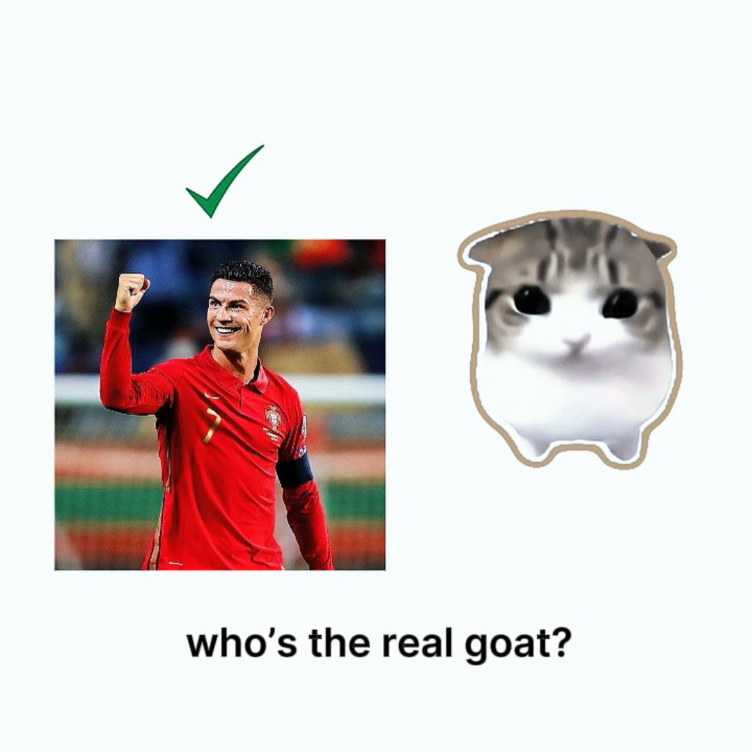 Team Ronaldo Goat