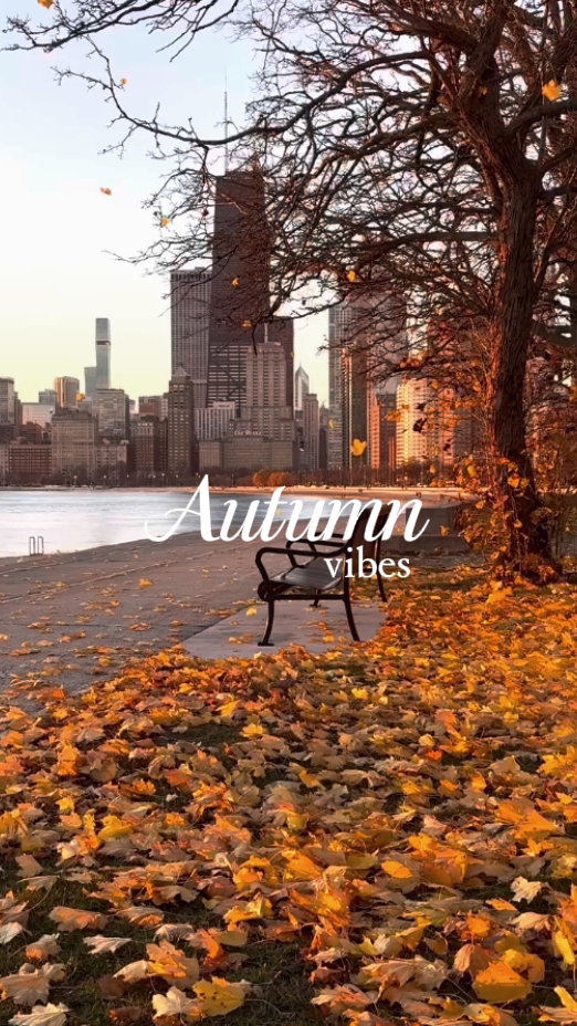 autumn vibes 