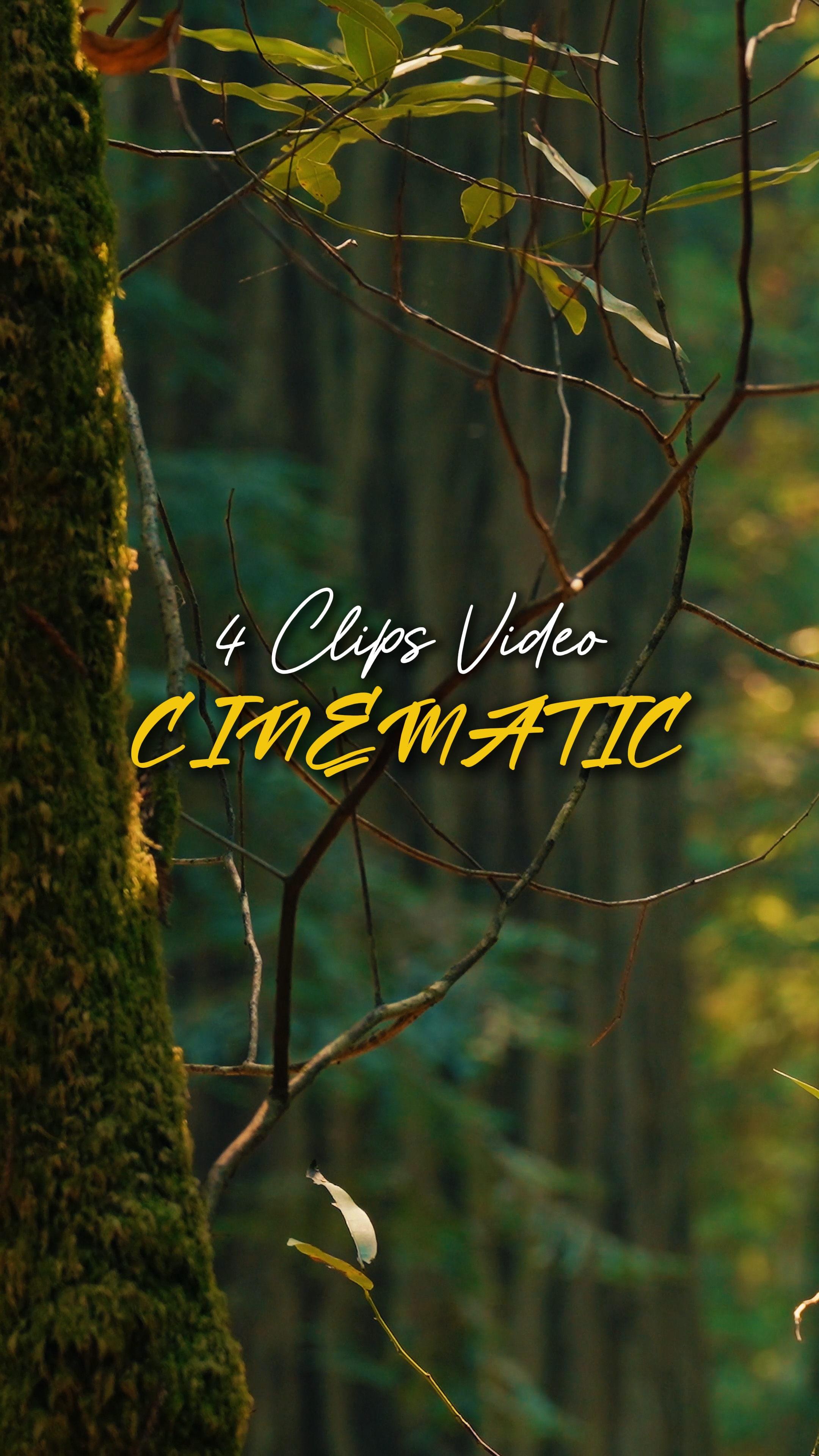 Cinematic 4 Video