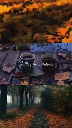 falling for autumn