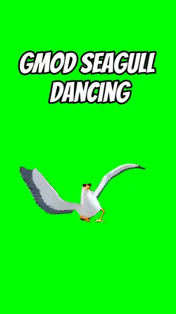 Gmod seagull dance