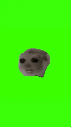 sad hamster singing