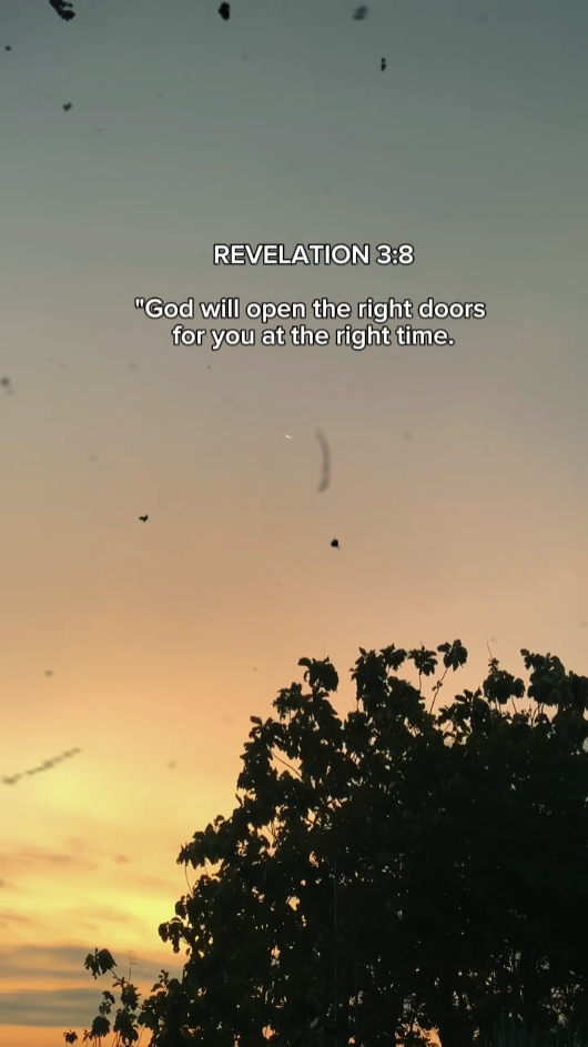 Revelation 3:8