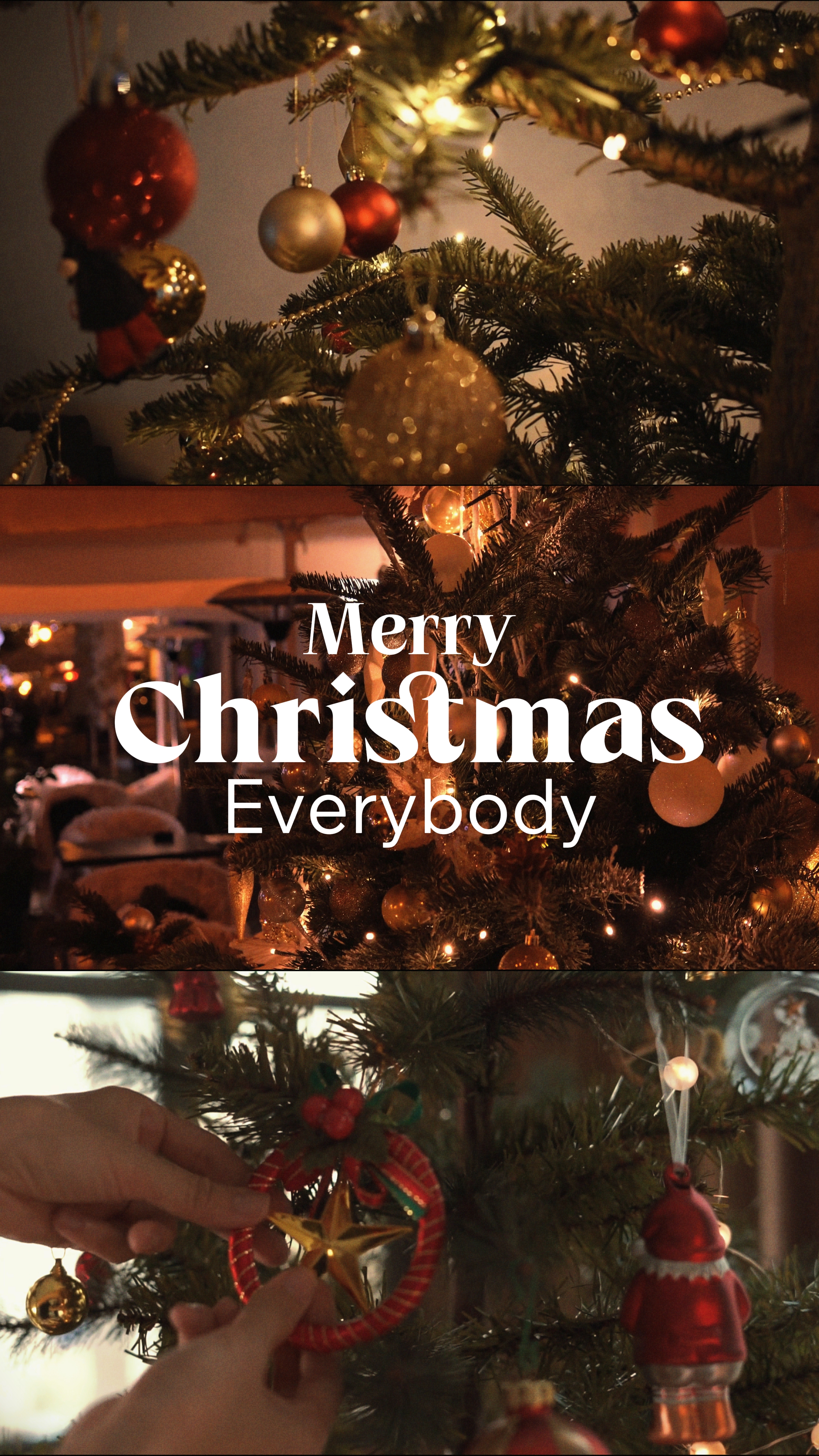 Merry Christmas 